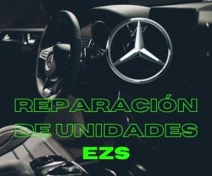 Curso Online Reparación EZS